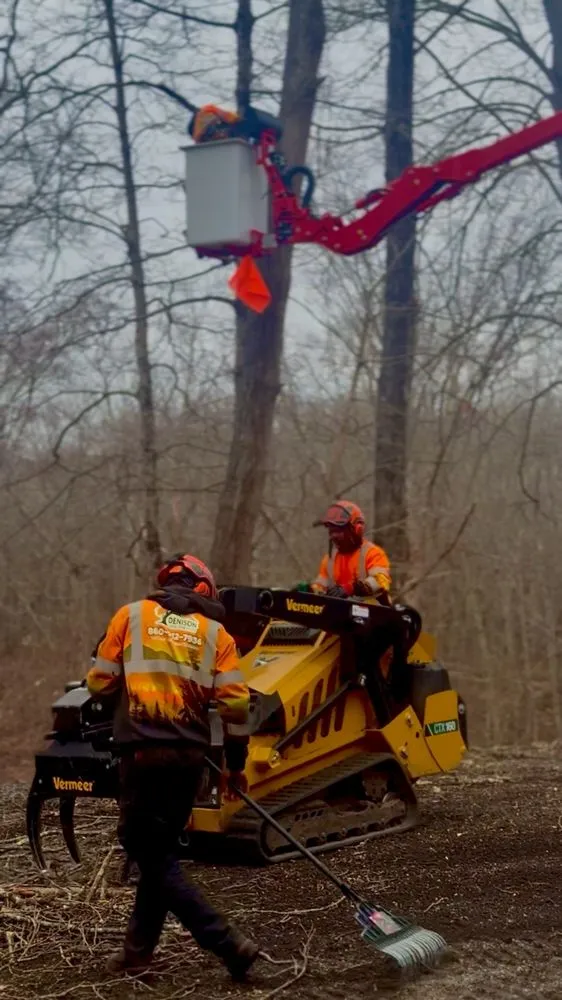 Custom lawn care service for homes in Ledyard, CT by Denison Tree Removal