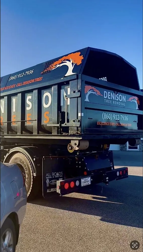 Local landscape design in Ledyard, CT - Denison Tree Removal