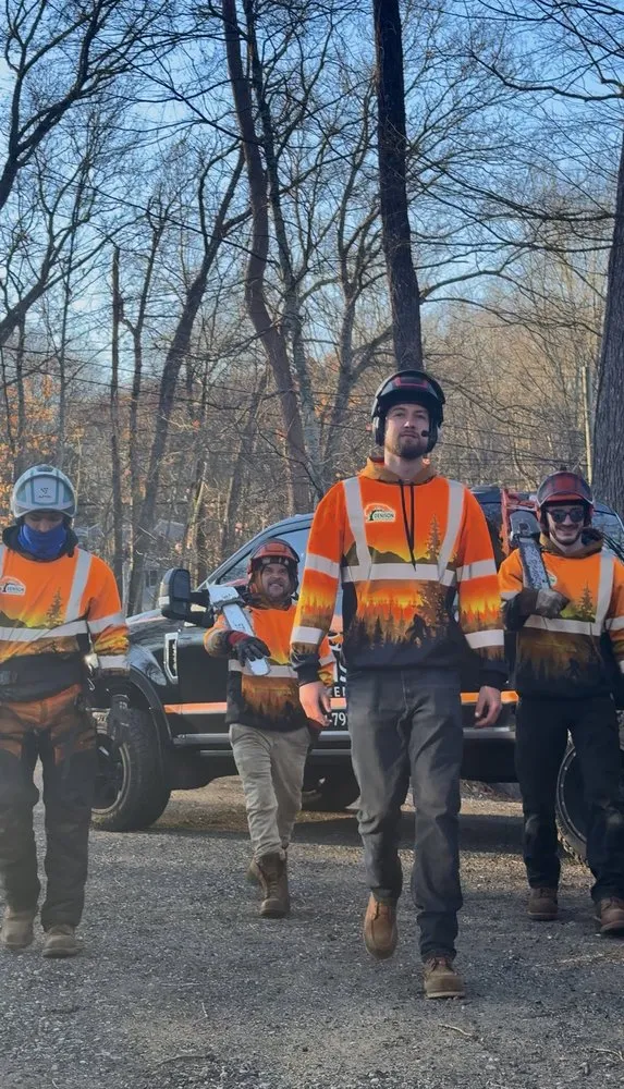 Reliable lawn mowing service in Ledyard, CT - Denison Tree Removal