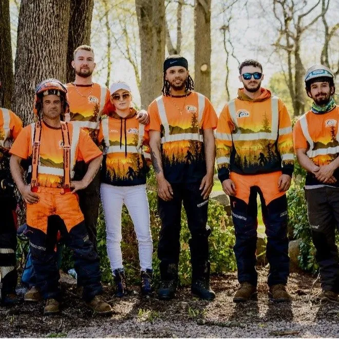 Trusted yard maintenance experts serving Ledyard, CT - Denison Tree Removal