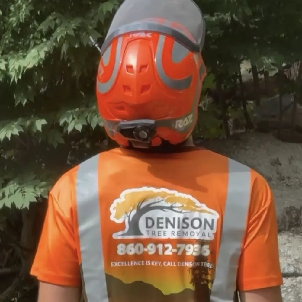 Top-rated garden landscaping for outdoor upgrades in Ledyard, CT by Denison Tree Removal