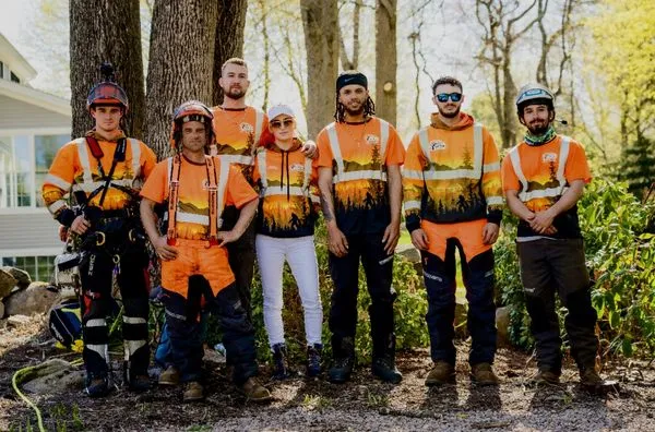 Denison Tree Removal