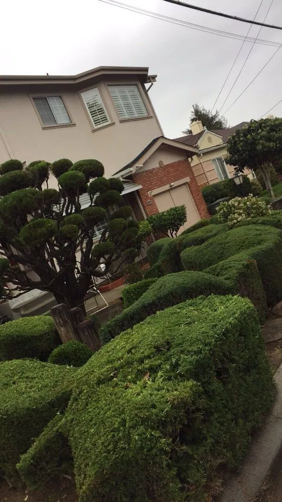 Custom lawn mowing service in Modesto, CA by Deniz Landscaping Services