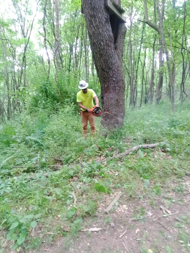 Top-rated outdoor landscaping experts serving Greensburg, PA - Denley Industries