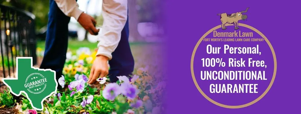Trusted lawn mowing service in Fort Worth, TX - Denmark Lawn