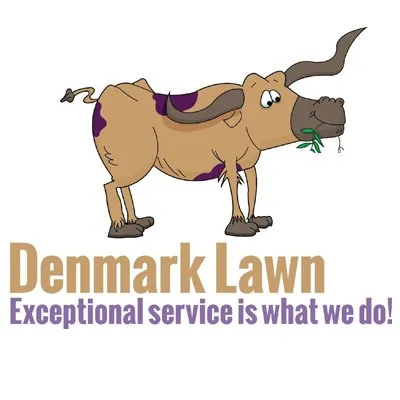 Custom landscape design for residential properties across Fort Worth, TX - Denmark Lawn