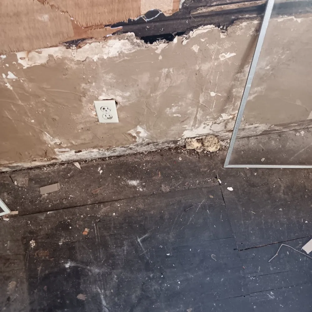 Reliable outdoor landscaping for year-round maintenance in Ardmore, OK by Denney One Stop Shop For All Your Handyman Needs