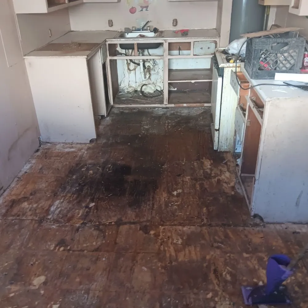 Local landscape design for year-round maintenance in Ardmore, OK by Denney One Stop Shop For All Your Handyman Needs