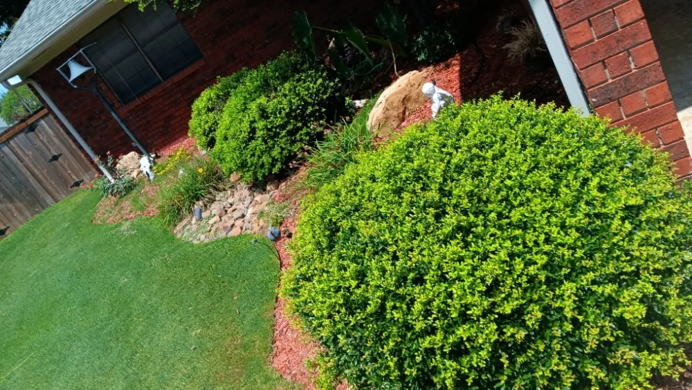 Top-rated yard maintenance in Ardmore, OK by Denney One Stop Shop For All Your Handyman Needs