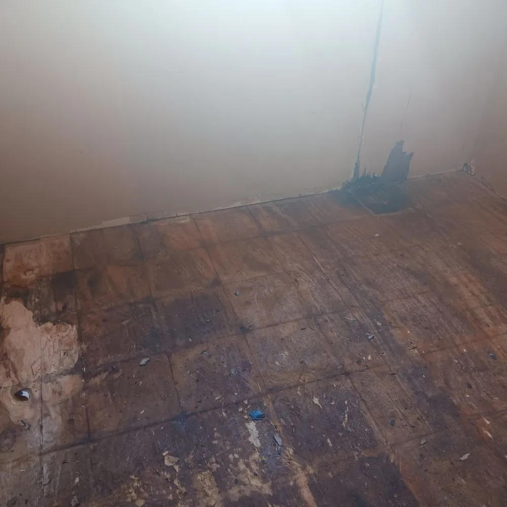 Reliable lawn mowing service for residential properties across Ardmore, OK - Denney One Stop Shop For All Your Handyman Needs