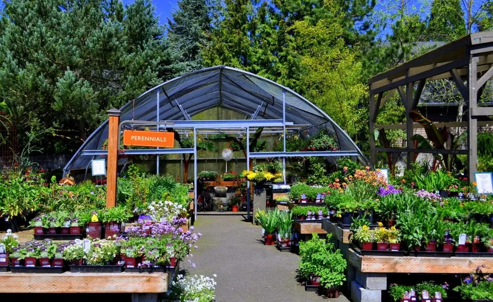 Expert lawn mowing service for residential properties across Lake Oswego, OR - Dennis' 7 Dees Garden Center