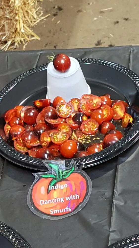 Trusted yard maintenance in Lake Oswego, OR - Dennis' 7 Dees Garden Center