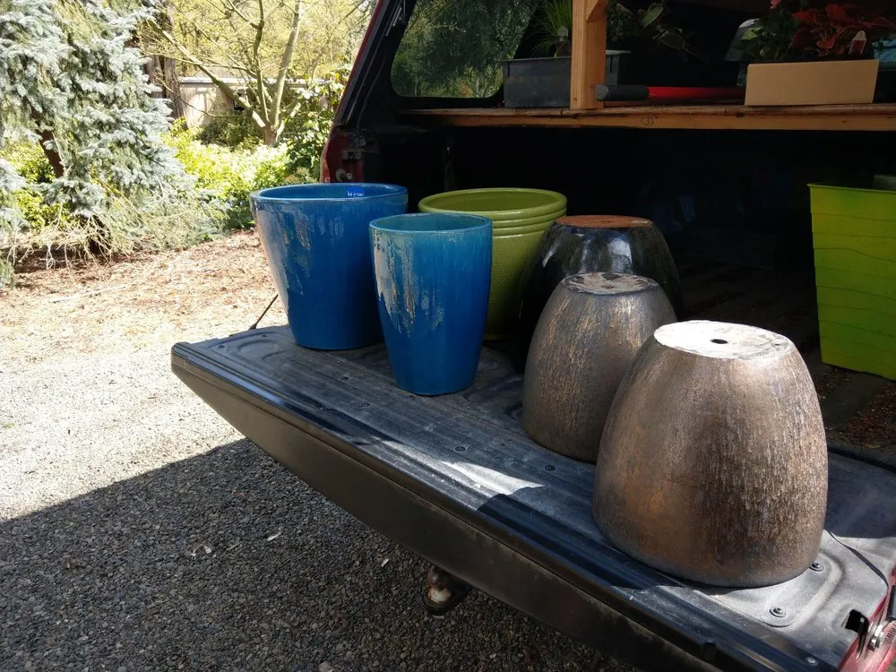 Affordable yard cleanup service in Lake Oswego, OR by Dennis' 7 Dees Garden Center