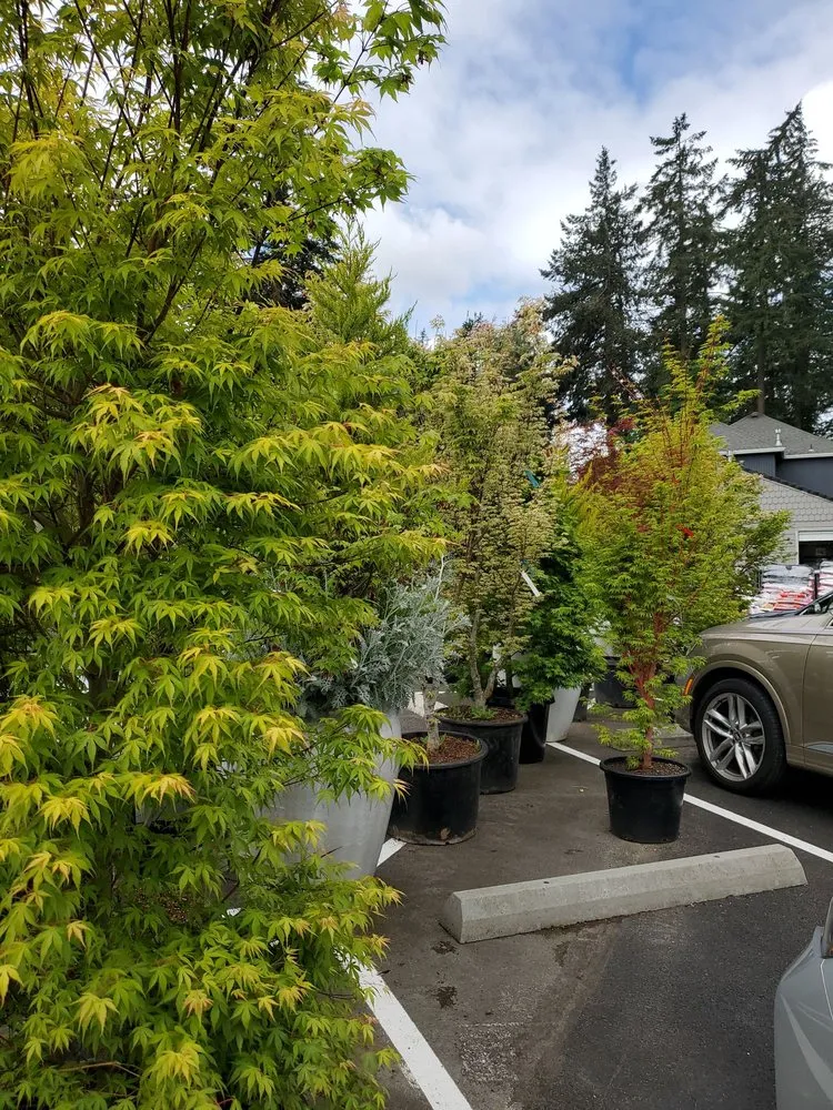 Custom yard cleanup service for beautiful yards in Lake Oswego, OR by Dennis' 7 Dees Garden Center