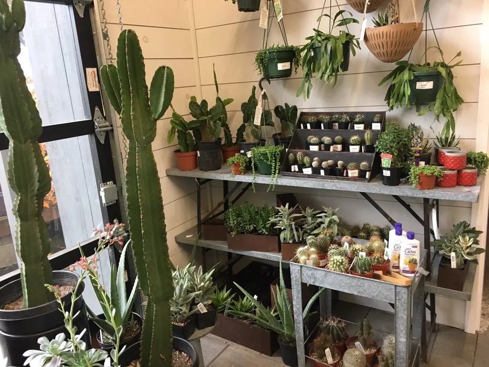 Local landscape design experts serving Lake Oswego, OR - Dennis' 7 Dees Garden Center