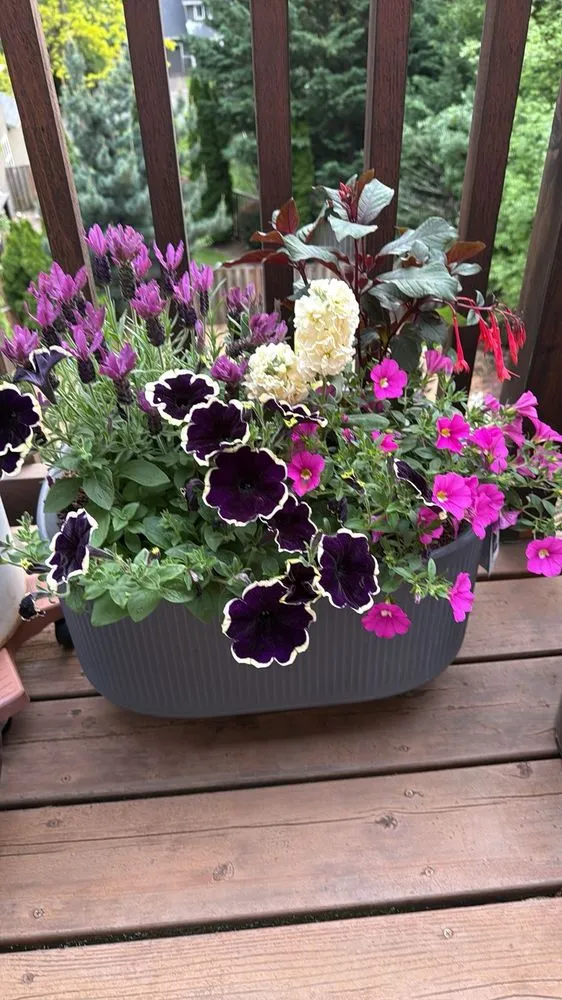 Reliable lawn care service with custom design across Lake Oswego, OR - Dennis' 7 Dees Garden Center