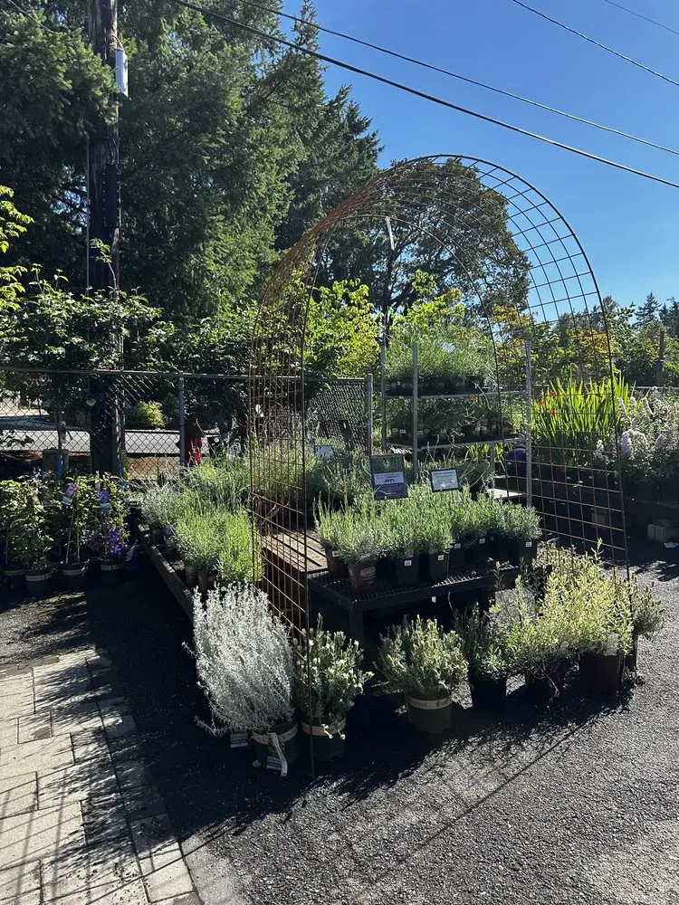 Trusted yard maintenance experts serving Lake Oswego, OR - Dennis' 7 Dees Garden Center