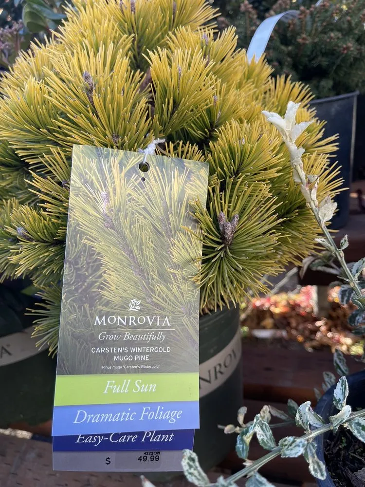 Custom landscaping services in Portland, OR - Dennis' 7 Dees Garden Center