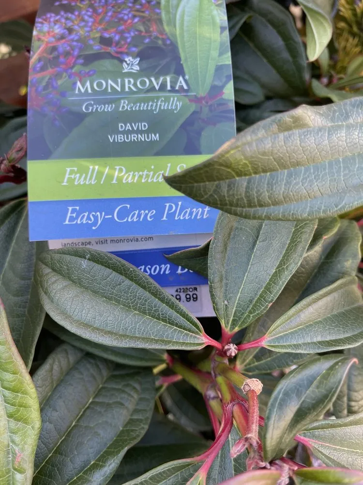 Affordable landscape design near you across Portland, OR - Dennis' 7 Dees Garden Center