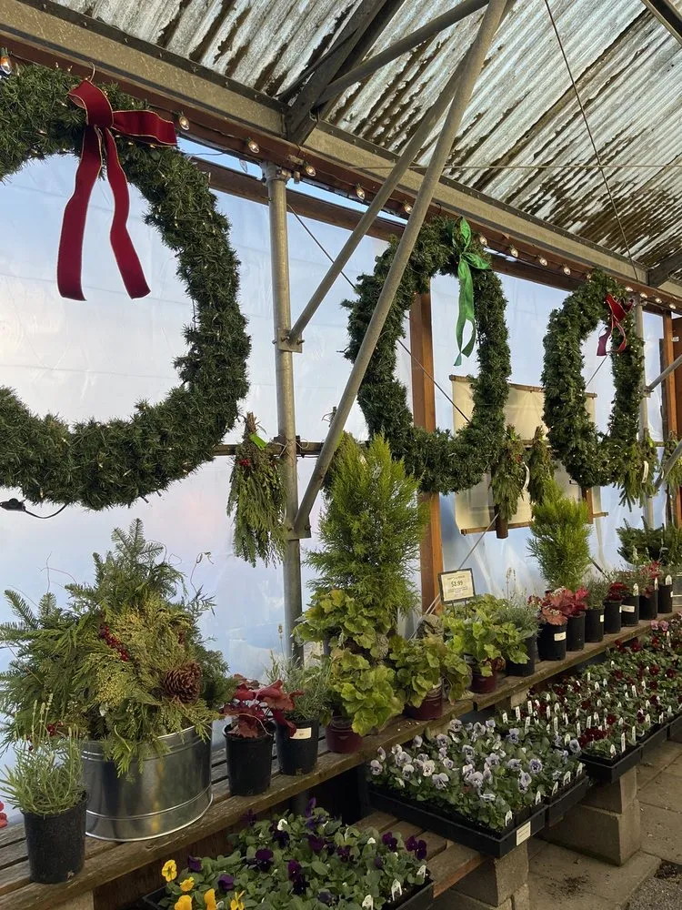 Professional lawn care service in Portland, OR by Dennis' 7 Dees Garden Center