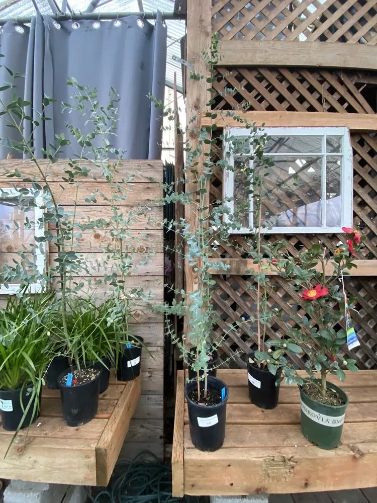 Custom outdoor landscaping experts serving Portland, OR - Dennis' 7 Dees Garden Center