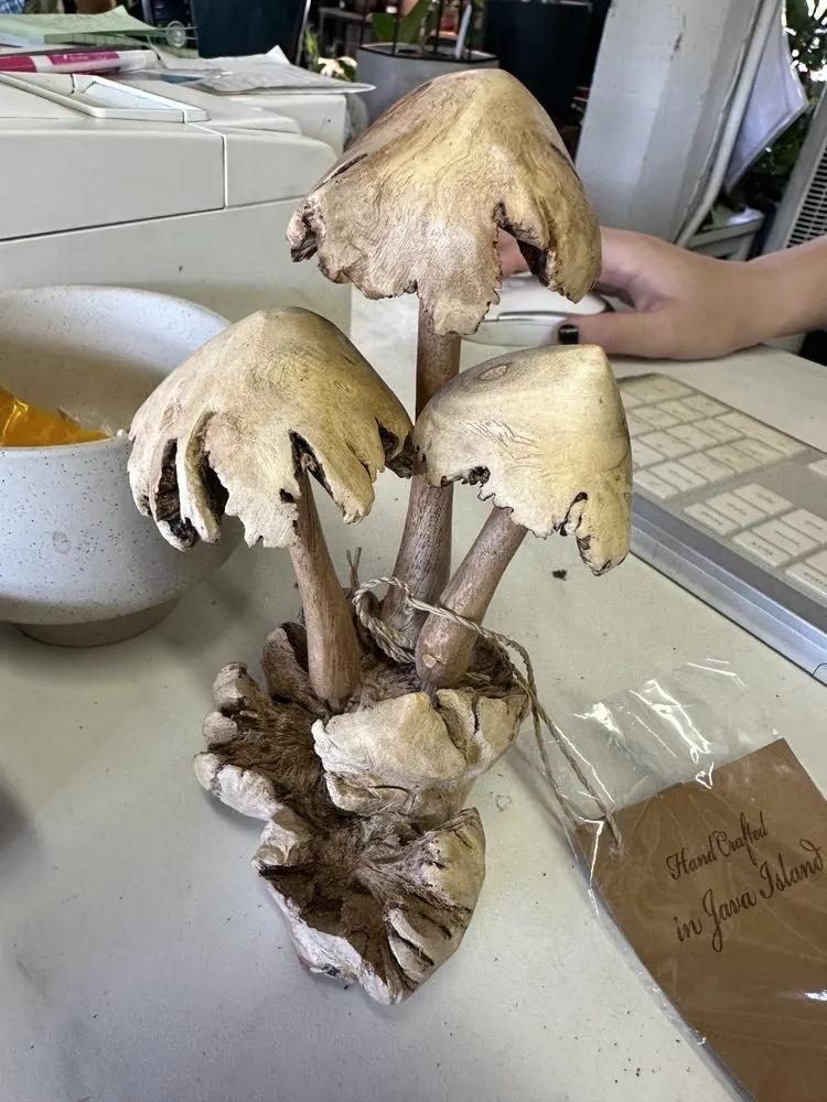 Trusted yard maintenance near you across Portland, OR - Dennis' 7 Dees Garden Center