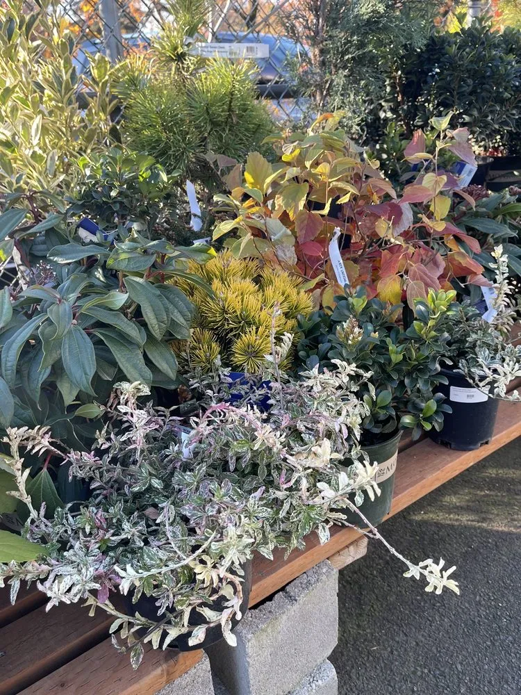 Reliable residential landscaping near you in Portland, OR by Dennis' 7 Dees Garden Center