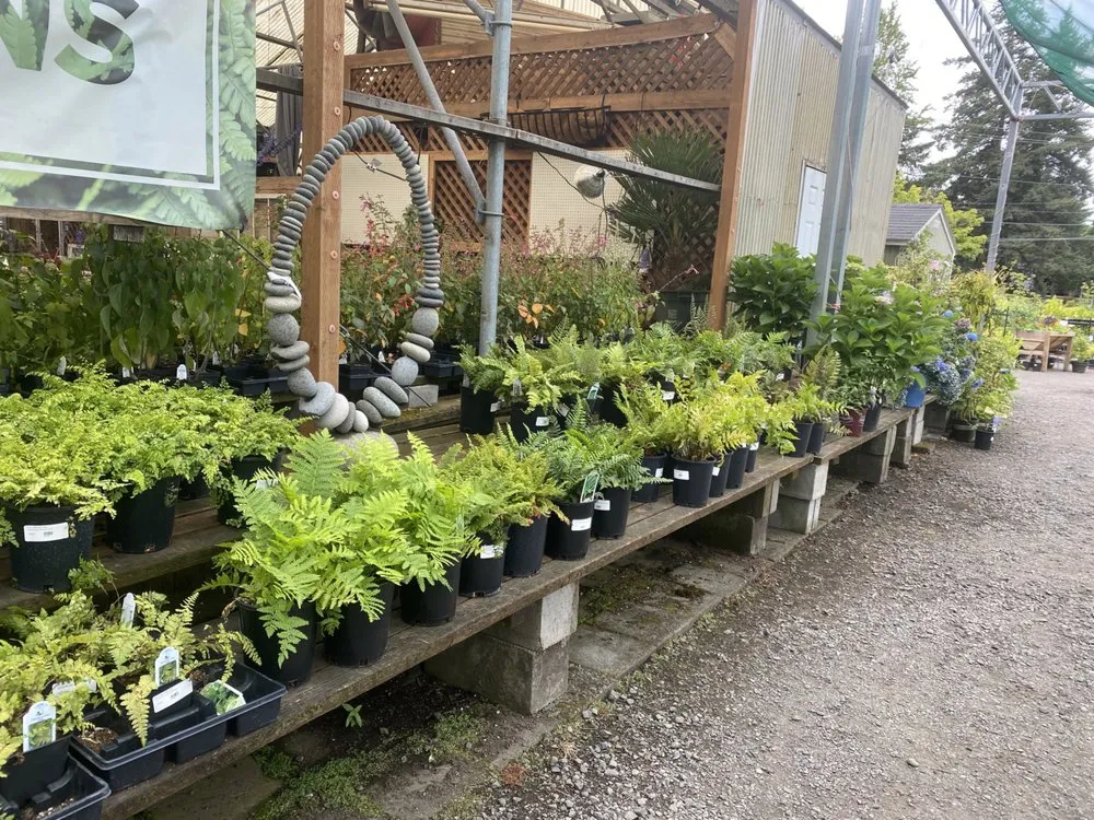 Top-rated yard cleanup service in Portland, OR by Dennis' 7 Dees Garden Center