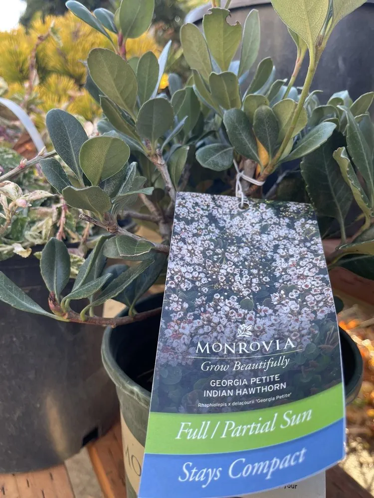 Top-rated lawn mowing service in Portland, OR by Dennis' 7 Dees Garden Center