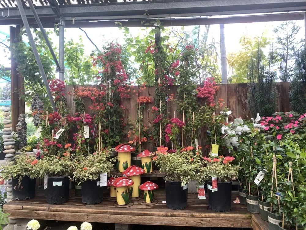 Local yard maintenance for year-round maintenance across Portland, OR - Dennis' 7 Dees Garden Center