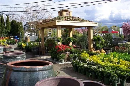 Affordable landscaping services in Portland, OR - Dennis' 7 Dees Garden Center