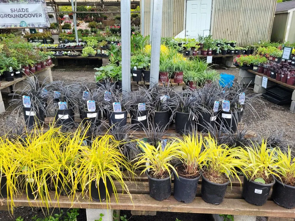 Trusted outdoor landscaping near you in Portland, OR by Dennis' 7 Dees Garden Center