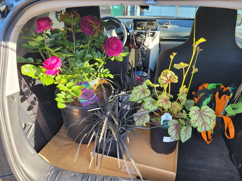 Professional landscape installation in Portland, OR by Dennis' 7 Dees Garden Center