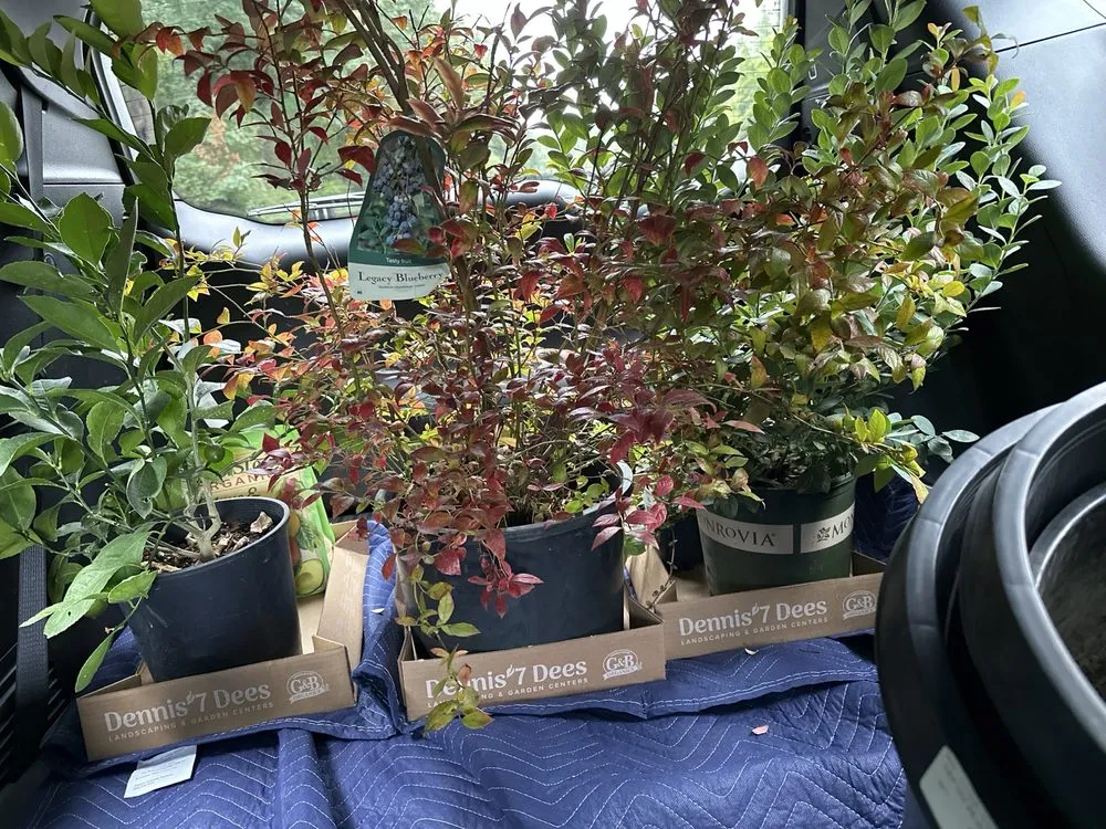 Local landscape design near you in Portland, OR by Dennis' 7 Dees Garden Center