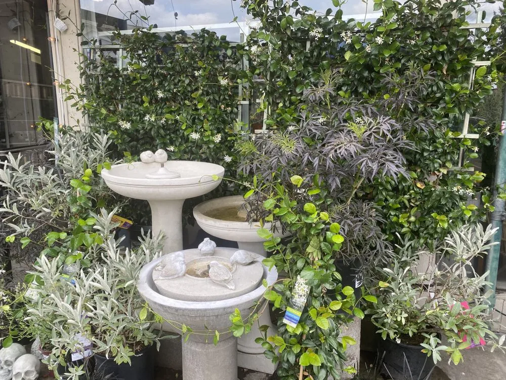 Trusted landscape design for beautiful yards in Portland, OR by Dennis' 7 Dees Garden Center