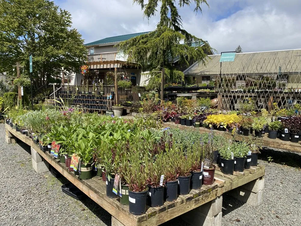 Local landscaping services experts serving Seaside, OR - Dennis' 7 Dees Garden Center