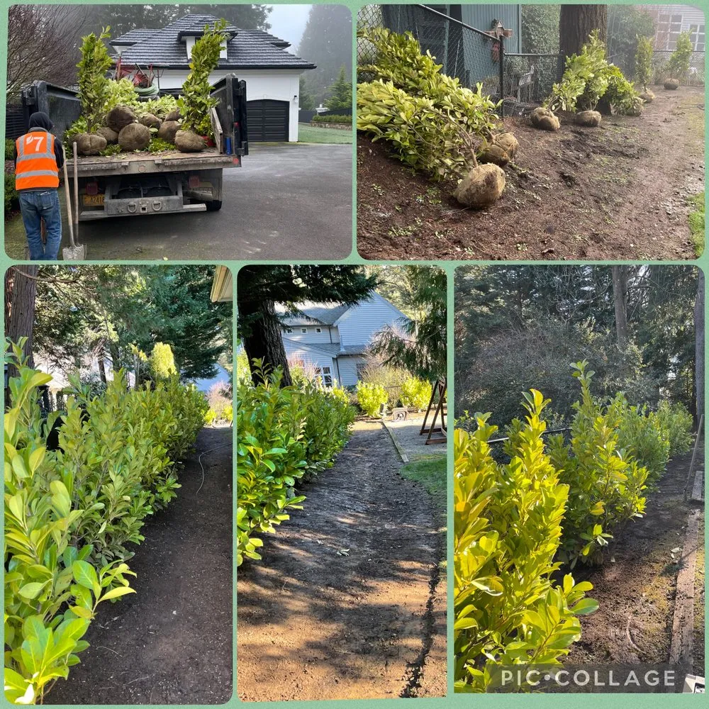 Local landscaping services with custom design across Portland, OR - Dennis' 7 Dees Landscaping