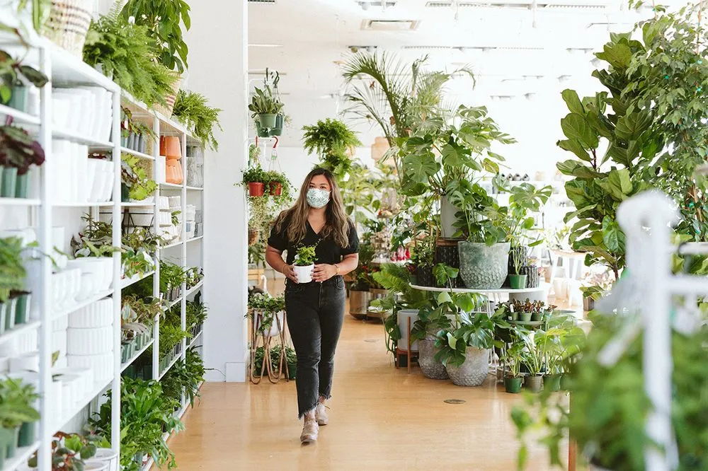 Reliable lawn care service for year-round maintenance in Tigard, OR by Dennis' 7 Dees Urban Plant Shop