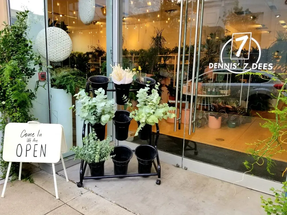 Trusted landscape design experts serving Tigard, OR - Dennis' 7 Dees Urban Plant Shop