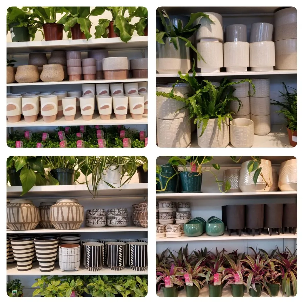 Trusted residential landscaping for outdoor upgrades across Tigard, OR - Dennis' 7 Dees Urban Plant Shop