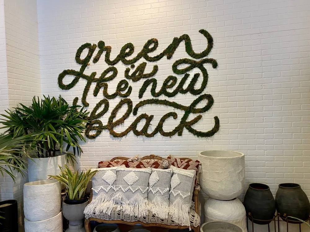 Affordable lawn care service experts serving Tigard, OR - Dennis' 7 Dees Urban Plant Shop