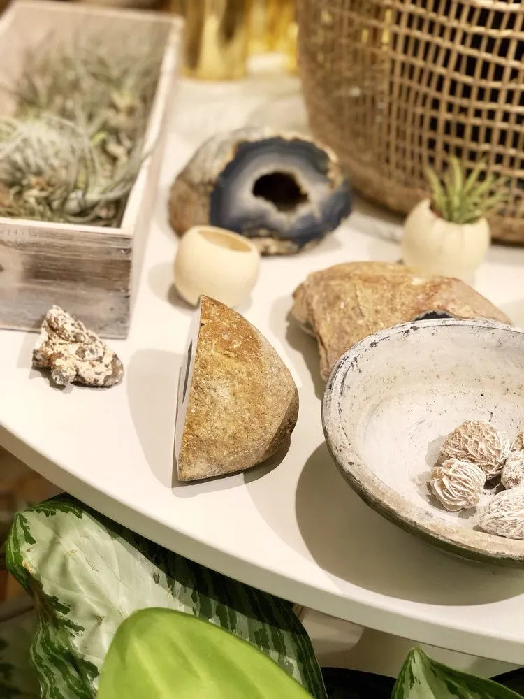 Affordable outdoor landscaping for outdoor upgrades across Tigard, OR - Dennis' 7 Dees Urban Plant Shop