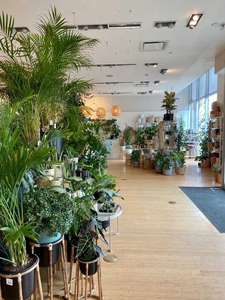 Top-rated yard maintenance for homes across Tigard, OR - Dennis' 7 Dees Urban Plant Shop