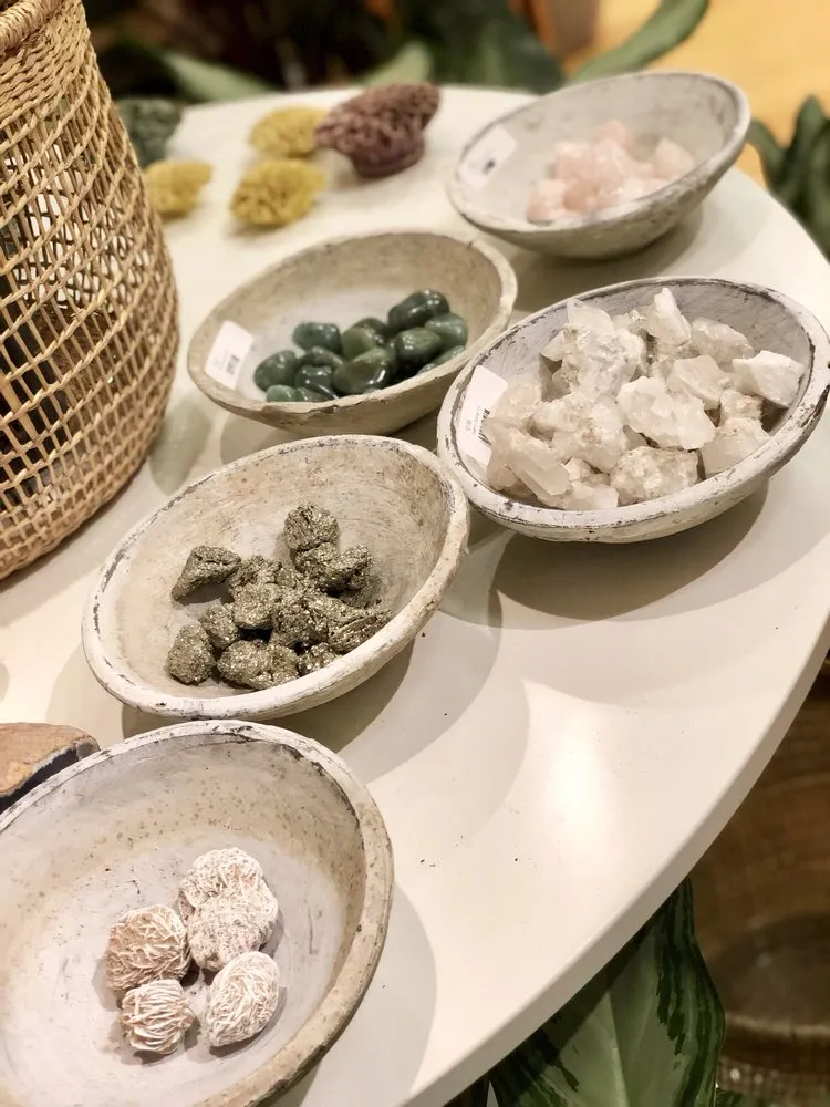 Professional residential landscaping for residential properties in Tigard, OR by Dennis' 7 Dees Urban Plant Shop