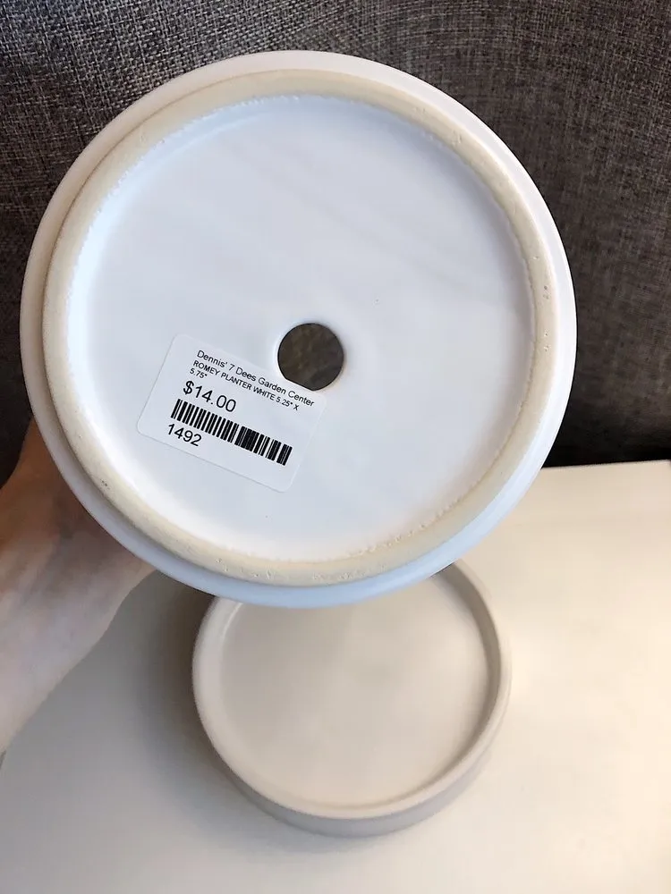 Affordable yard maintenance in Tigard, OR by Dennis' 7 Dees Urban Plant Shop