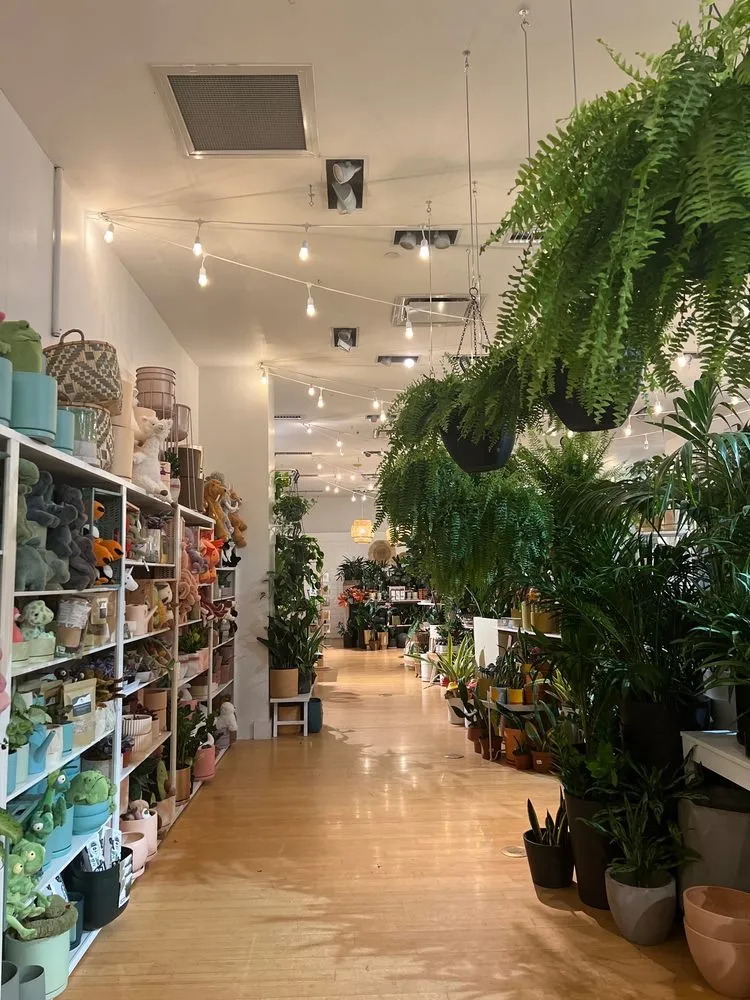 Custom lawn care service for homes in Tigard, OR by Dennis' 7 Dees Urban Plant Shop