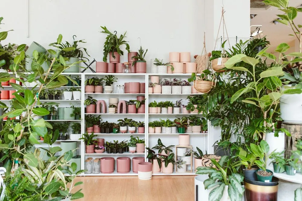 Trusted lawn mowing service experts serving Tigard, OR - Dennis' 7 Dees Urban Plant Shop