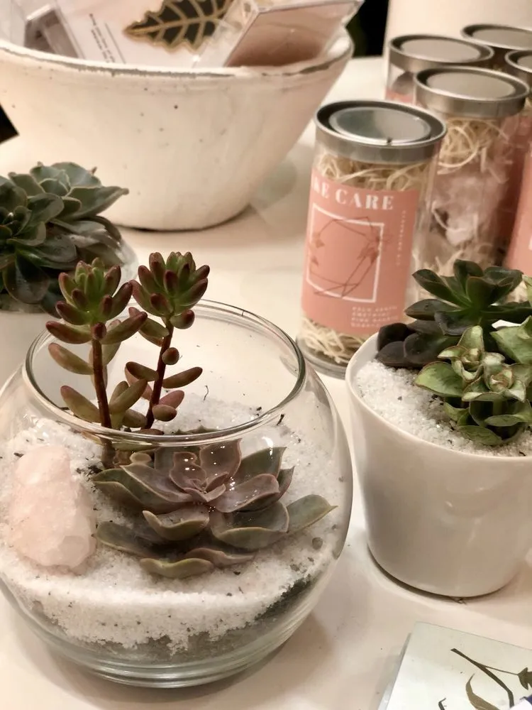 Custom yard maintenance in Tigard, OR - Dennis' 7 Dees Urban Plant Shop