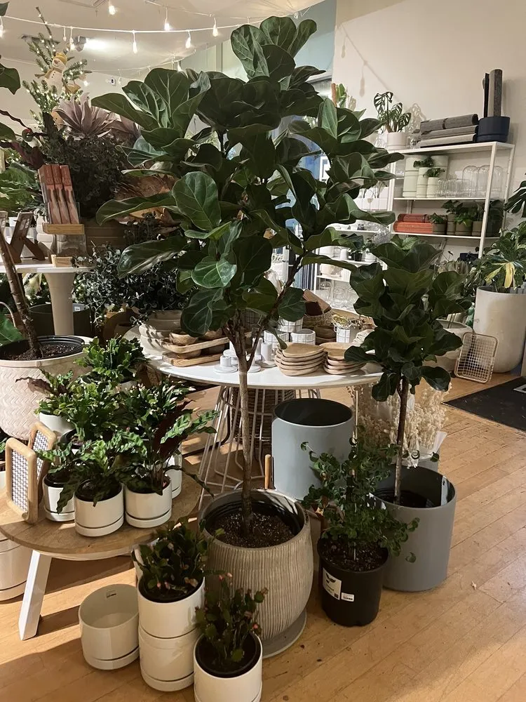 Expert garden landscaping for residential properties in Tigard, OR by Dennis' 7 Dees Urban Plant Shop