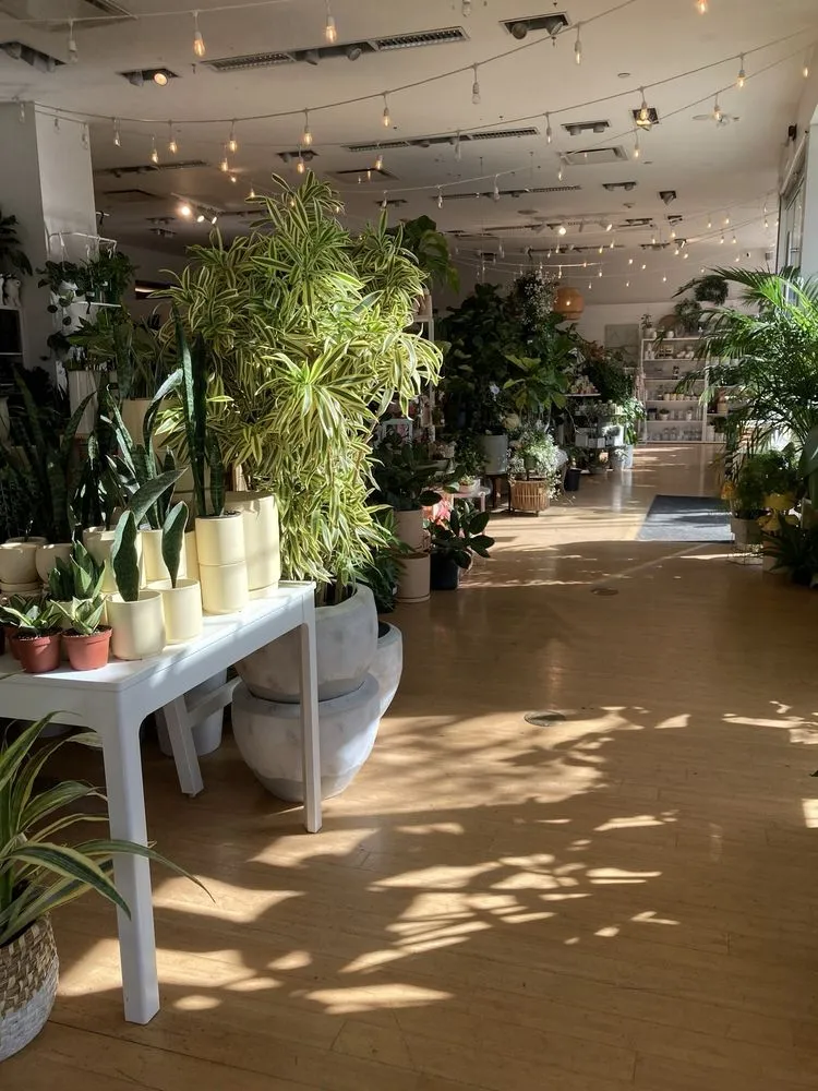 Custom outdoor landscaping in Tigard, OR - Dennis' 7 Dees Urban Plant Shop